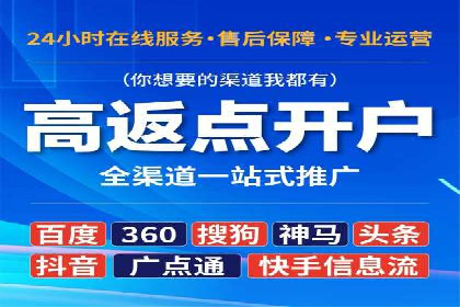 SEM投放策略：成功案例解析